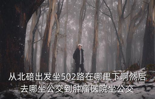 重慶市北碚區502路，從北碚出發坐502路在哪里下啊然后去哪坐公交到腫瘤醫院坐公交