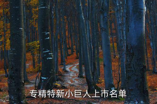 上海市 專精特新 名單，上海中泰多經(jīng)國際貿(mào)易有限責(zé)任公司屬于專精特新企業(yè)么