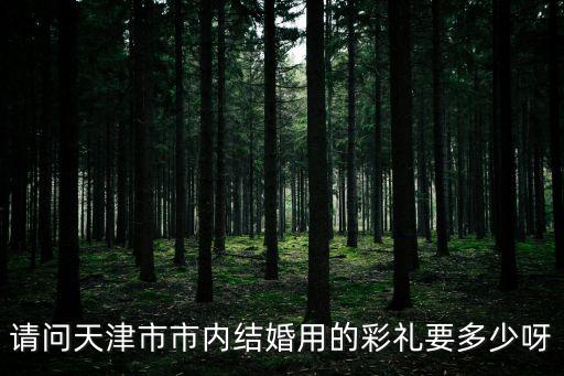 請問天津市市內結婚用的彩禮要多少呀