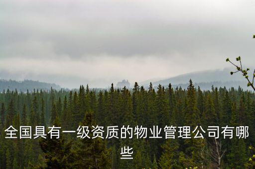全國具有一級資質的物業管理公司有哪些