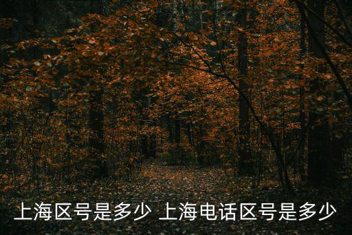 上海市座機電話區(qū)號，上海區(qū)號是多少 上海電話區(qū)號是多少