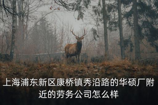 上海浦東新區康橋鎮秀沿路的華碩廠附近的勞務公司怎么樣