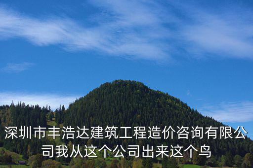 深圳市豐浩達建筑工程造價咨詢有限公司我從這個公司出來這個鳥