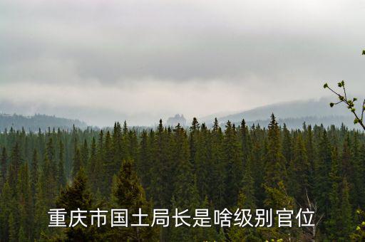 重慶市國土局長是啥級別官位