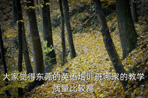 東莞慕課哪所學校做得好，東莞什么地方的培訓班的英文教學做的比較好