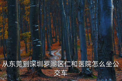 東莞到深圳28路，東莞東城到深圳坐什么車