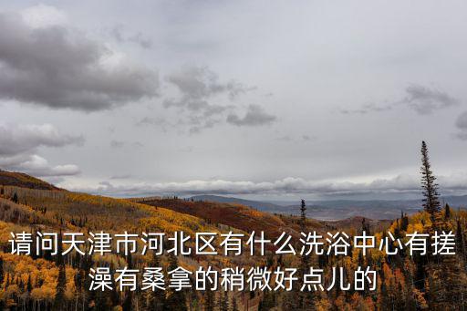 天津市正元得涮肉坊，請問天津市河北區有什么洗浴中心有搓澡有桑拿的稍微好點兒的