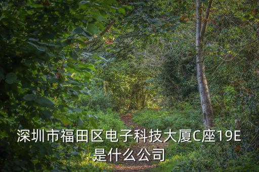深圳市福田區(qū)電子科技大廈C座19E是什么公司