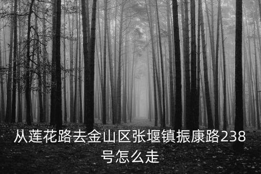 從蓮花路去金山區(qū)張堰鎮(zhèn)振康路238號(hào)怎么走