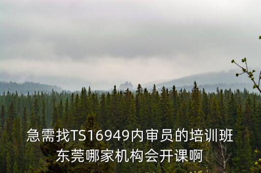 急需找TS16949內(nèi)審員的培訓(xùn)班東莞哪家機構(gòu)會開課啊