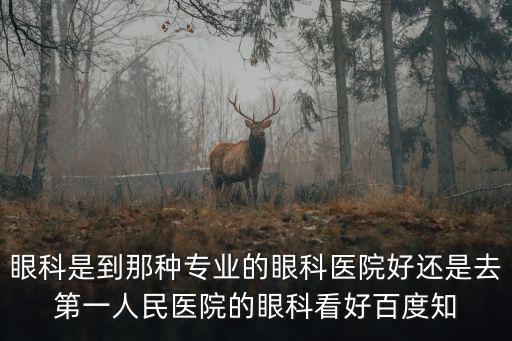眼科是到那種專業(yè)的眼科醫(yī)院好還是去第一人民醫(yī)院的眼科看好百度知