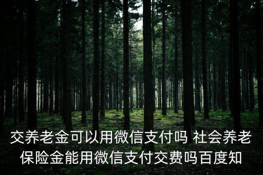 成都市金牛區(qū)交社會保險金微信碼，社會保險微信怎么繳費(fèi)