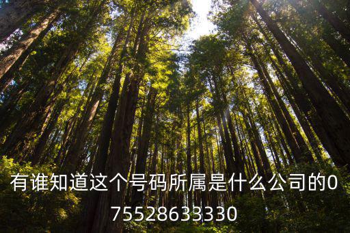 有誰知道這個號碼所屬是什么公司的075528633330