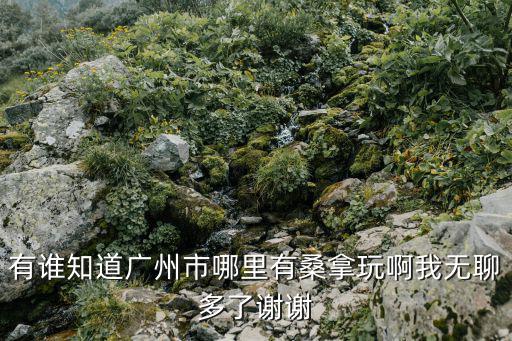 廣州昌崗有紅燈區，那些街邊好多按摩店里面坐著好多女的一條街有十幾家這樣的店