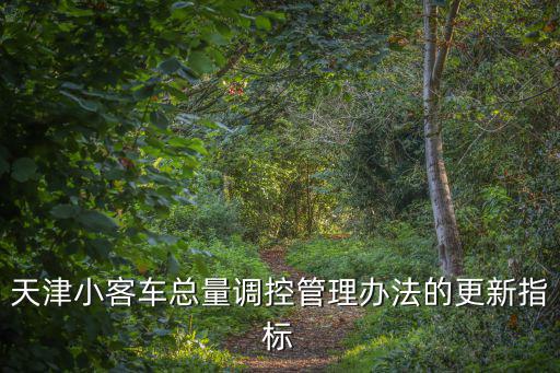 天津市小型汽車更新指標(biāo)查詢，天津小客車總量調(diào)控管理辦法的更新指標(biāo)