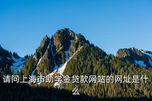 請問上海市助學金貸款網站的網址是什么