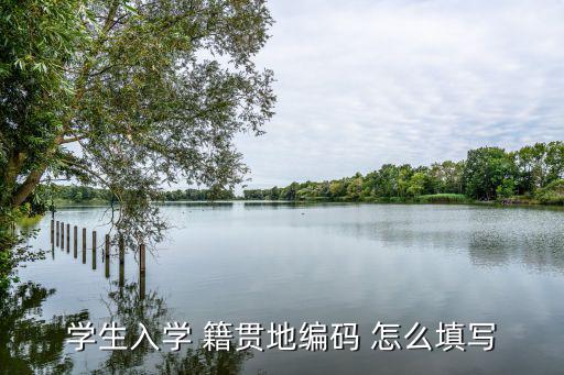 學生入學 籍貫地編碼 怎么填寫