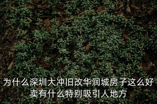 為什么深圳大沖舊改華潤(rùn)城房子這么好賣(mài)有什么特別吸引人地方
