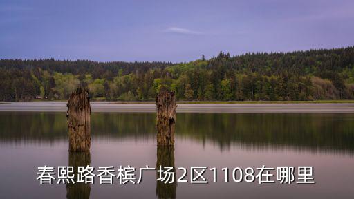 春熙路香檳廣場2區1108在哪里