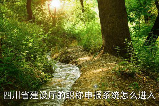 成都市龍泉驛職稱系統，四川省建設廳的職稱申報系統怎么進入