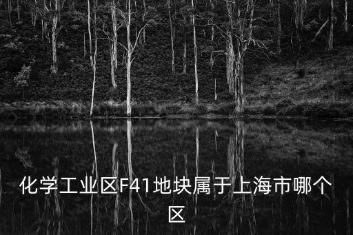 上海市104地塊 化工，莘莊工業區 104地塊是什么意思