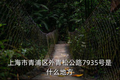 上海市外馬路78號，上海市金山區亭林鎮南亭公路5508號 是什么公司