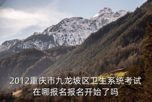 2012重慶市九龍坡區(qū)衛(wèi)生系統考試在哪報名報名開始了嗎