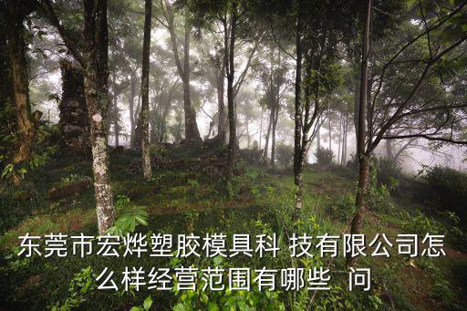 東莞市宏燁塑膠模具科 技有限公司怎么樣經營范圍有哪些  問
