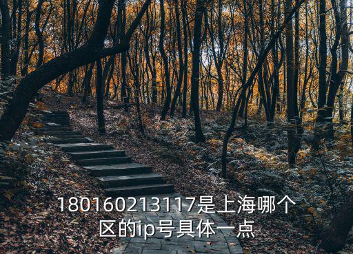 180160213117是上海哪個區(qū)的ip號具體一點