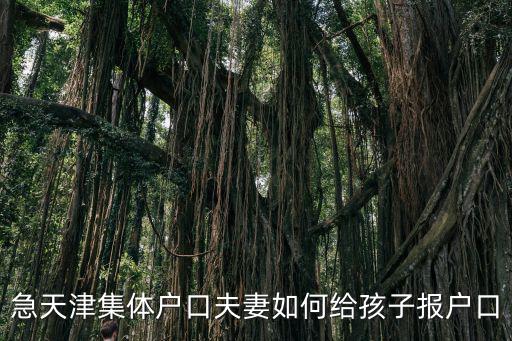 急天津集體戶口夫妻如何給孩子報戶口