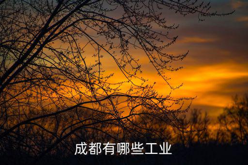 成都有哪些工業