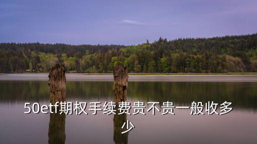 50etf期權手續費貴不貴一般收多少