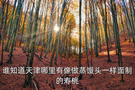 誰知道天津哪里有像做蒸饅頭一樣面制的壽桃