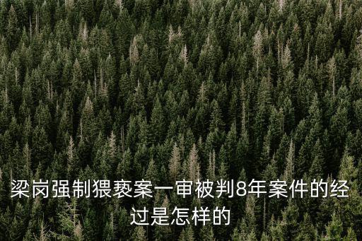梁崗強制猥褻案一審被判8年案件的經過是怎樣的
