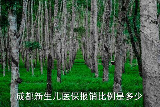 成都新生兒醫(yī)保報(bào)銷比例是多少