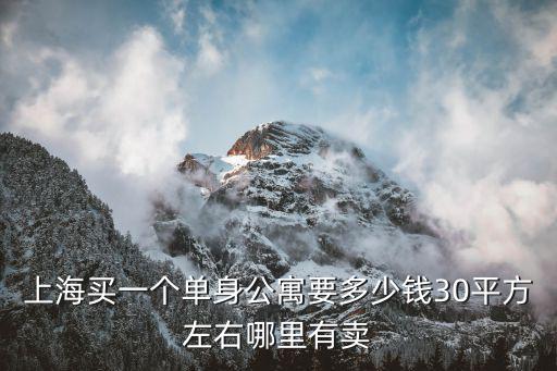 上海買一個單身公寓要多少錢30平方左右哪里有賣