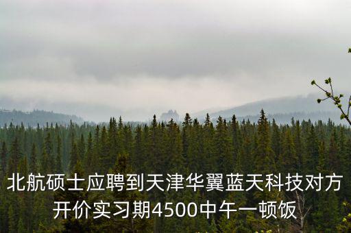 天津市華翼藍天科技有限公司，河西區大沽南路501號1門1301室是什么公司的辦公地