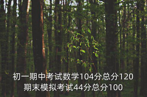 初一期中考試數學104分總分120期末模擬考試44分總分100