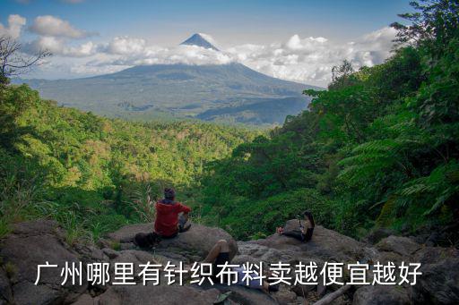 廣州哪里有針織布料賣(mài)越便宜越好