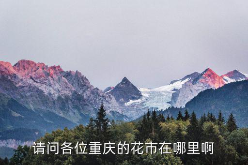 請問各位重慶的花市在哪里啊