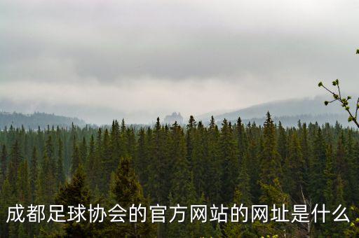 成都足球協會的官方網站的網址是什么