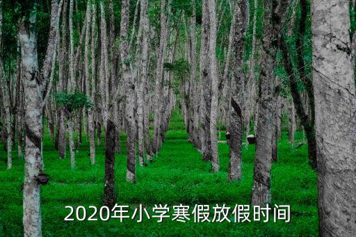天津市2020年寒假時間表，2020高中什么時候放寒假