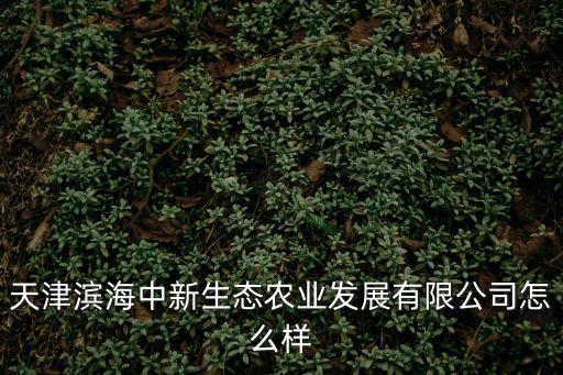 天津濱海中新生態農業發展有限公司怎么樣