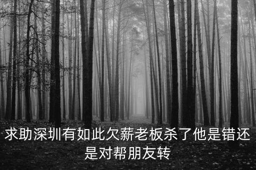 求助深圳有如此欠薪老板殺了他是錯還是對幫朋友轉