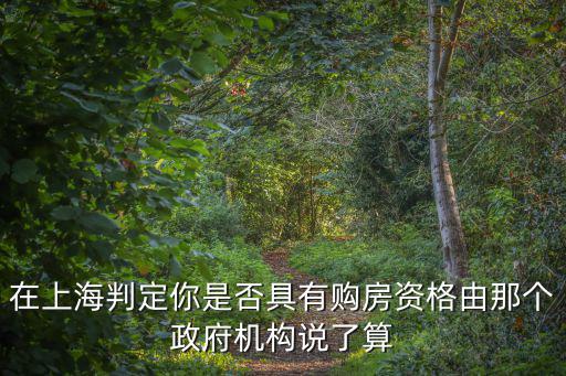 在上海判定你是否具有購房資格由那個政府機構說了算