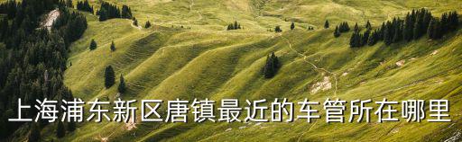 上海浦東新區唐鎮最近的車管所在哪里