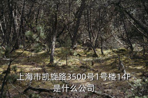 上海市凱旋路3500號1號樓14F是什么公司