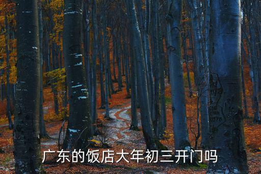 廣東的飯店大年初三開(kāi)門嗎