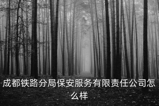成都鐵路分局保安服務(wù)有限責(zé)任公司怎么樣