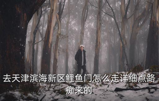 去天津濱海新區鯉魚門怎么走詳細點路癡來的